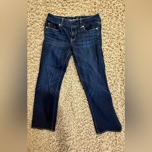 American Eagle Outfitters Dark Blue Crop Jeans